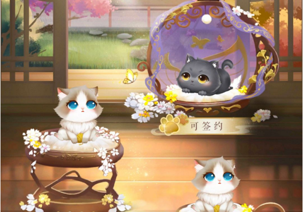 灵猫传新手必看攻略之灵猫和猫后院
